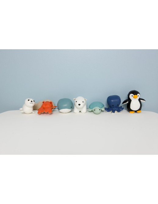 TINY FRIENDS – Brigitte the Hermit Crab