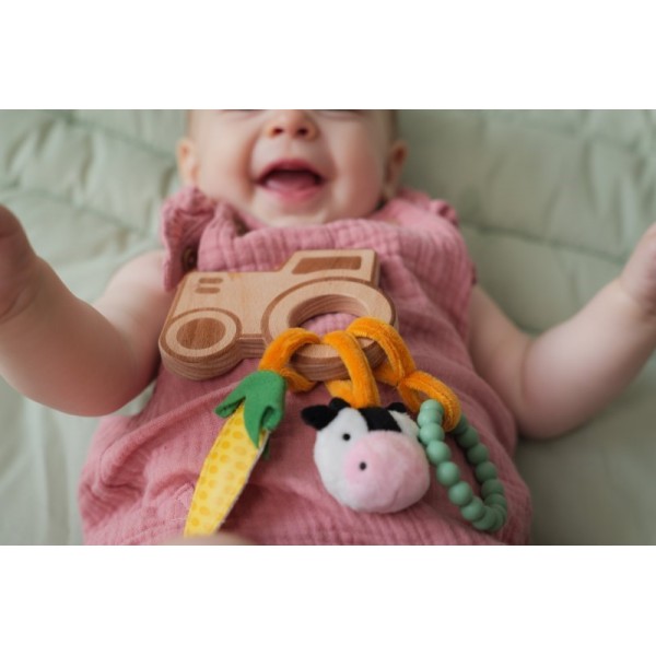 Παιχνίδι Δραστηριοτήτων 0  Farm