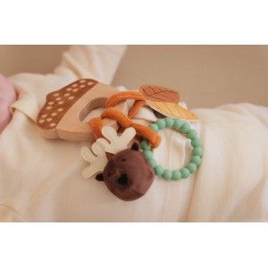 Παιχνίδι Δραστηριοτήτων 0  Forest