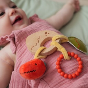 Παιχνίδι Δραστηριοτήτων 0  Dino Friends