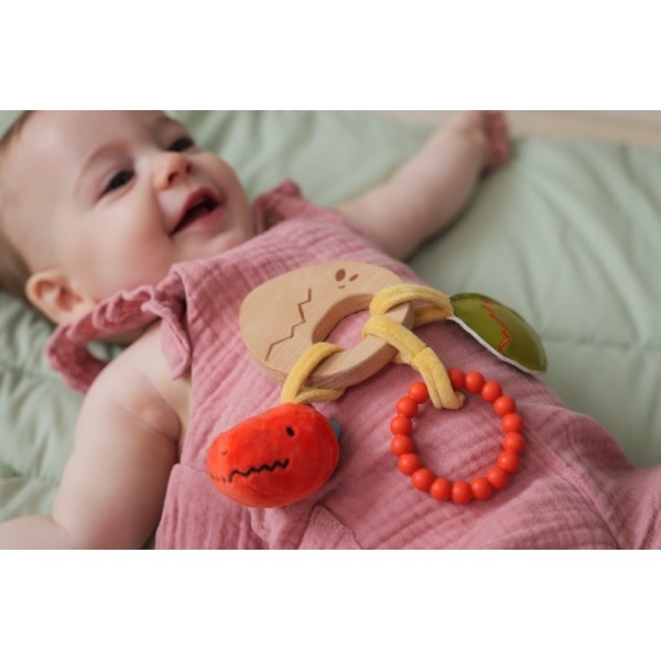 Παιχνίδι Δραστηριοτήτων 0  Dino Friends