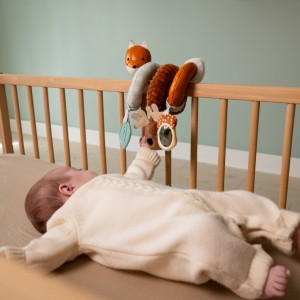 Activity Spiral Forest