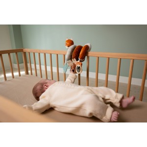 Activity Spiral Forest