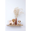 TINY FRIENDS – Adrien the Dog