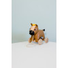 Charles the pull along horse