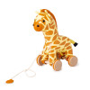 Gina the pull along giraffe  |  BTL304447