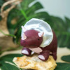 Dino Friends – Penelope the Triceratops  |  BTL304638