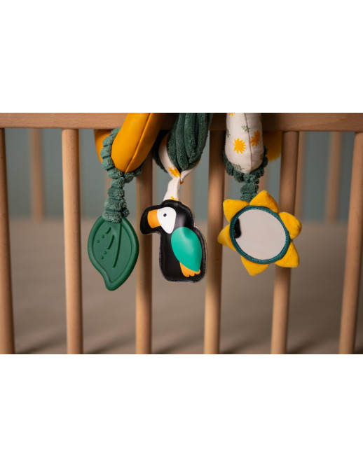 Activity Spiral Jungle  |  BTL304775