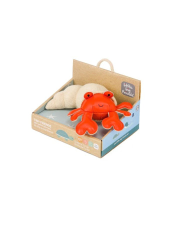 TINY FRIENDS – Brigitte the Hermit Crab