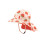 Zoocchini Cape Sunhat UPF50 Strawberry - 6-24m  |  ZOO15061-6-24M