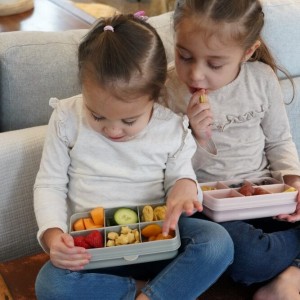 Melii – Snackle Box Mini Bulldog