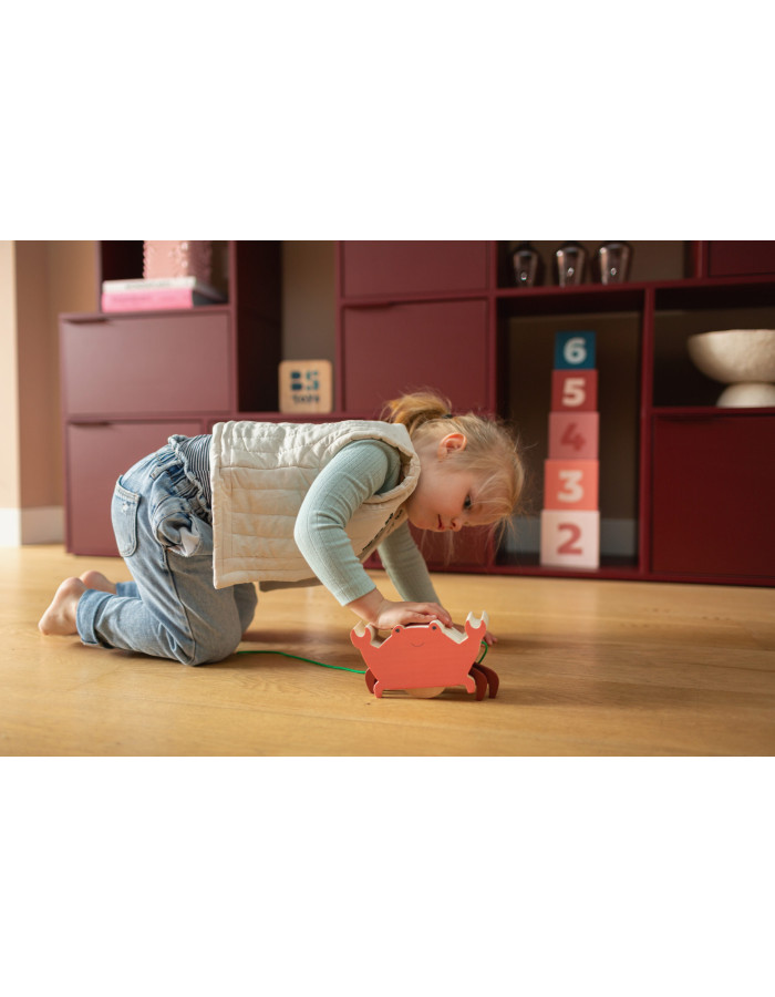 BS Toys – Τρεχαλίτσα Καβουράκι
