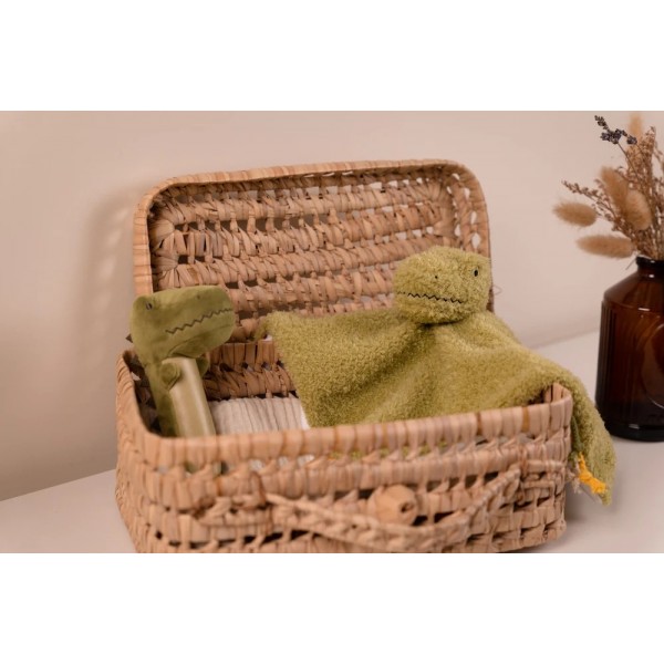 Βελούδινη Squeaker Κουδουνίστρα Dino