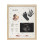 Birth frame  |  PA2601