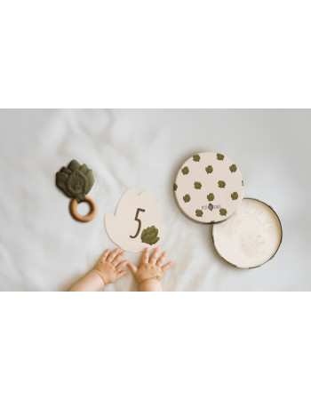 Birth Gift Set – Petit Artichaut  |  PA2509
