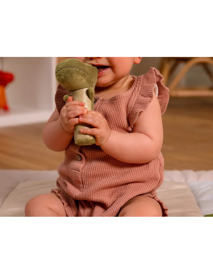 Baby Gift Box Dino friends  |  BTL305154