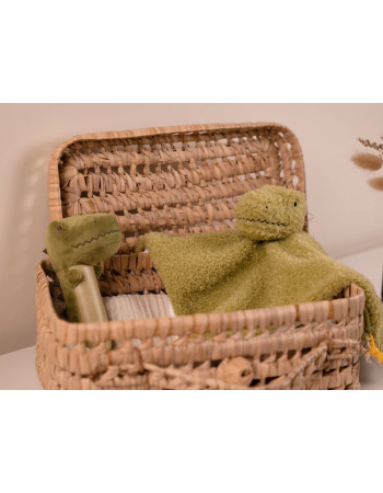 Baby Gift Box Dino friends  |  BTL305154