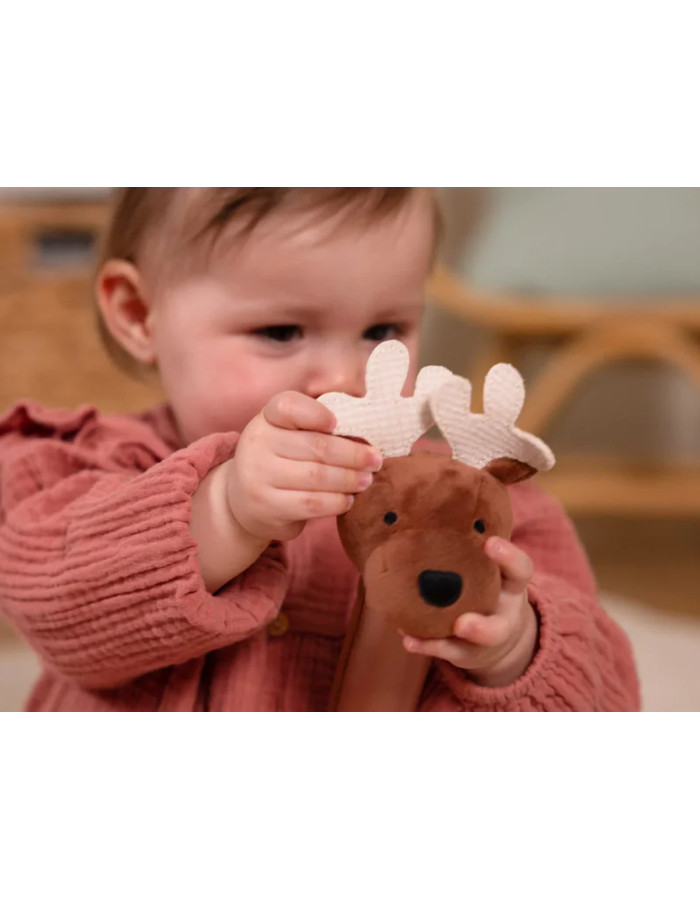 Baby Gift Box  Forest  |  BTL305130