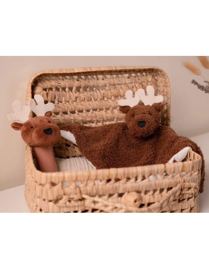 Baby Gift Box  Forest  |  BTL305130