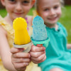 Melii – 6 Piece Animal Ice Pops with Tray | MEL19300 Melii – 6 Piece Animal Ice Pops with Tray | MEL19300