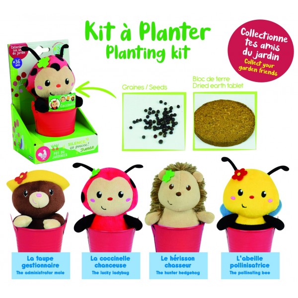 Γλαστράκι Με Σπόρους & Λούτρινο Σκαντζόχειρος | 62-023985/1