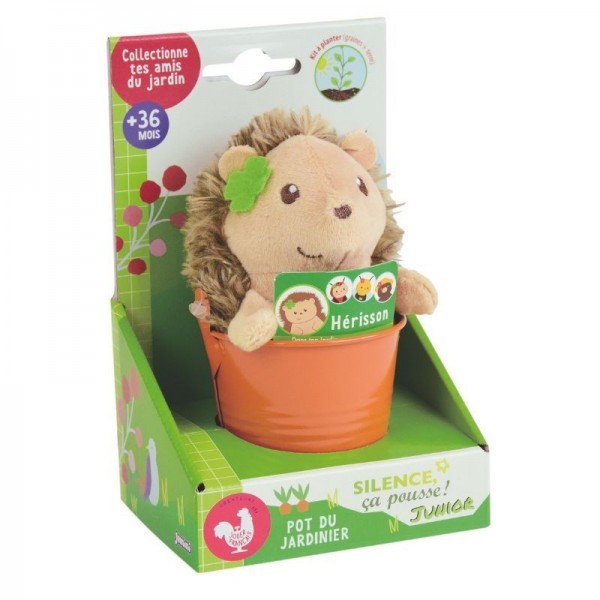 Γλαστράκι Με Σπόρους & Λούτρινο Σκαντζόχειρος | 62-023985/1