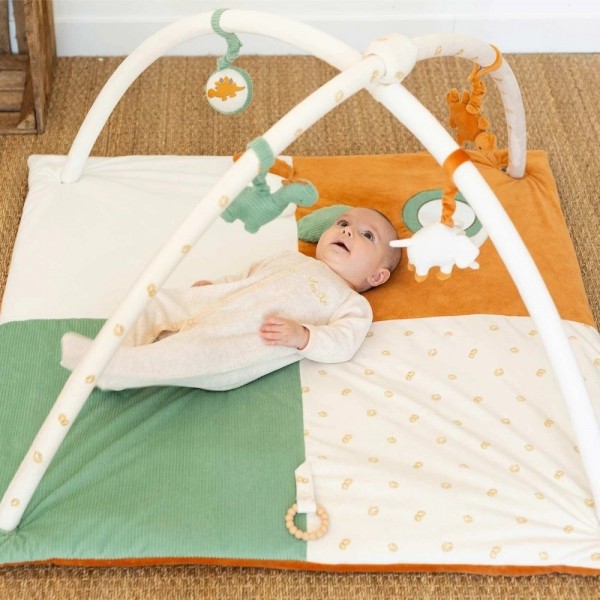 Γυμναστήριο 100x100CM  Diplododo Trois Kilos Sept | 55-8455015