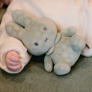 Λούτρινο Aπό Bελουτέ Ύφασμα 20cm Πράσινο Miffy Flowers | 47-3886