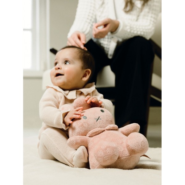 Λούτρινο Από Βελουτέ Ύφασμα 30cm Ροζ Miffy Flowers | 47-3895