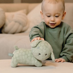 Λούτρινο Σκυλάκι Από Βελουτέ Ύφασμα 25cm Πράσινο Miffy Flowers | 47-3898