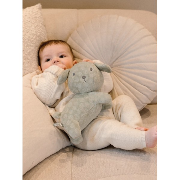 Λούτρινο Σκυλάκι Από Βελουτέ Ύφασμα 25cm Πράσινο Miffy Flowers | 47-3898