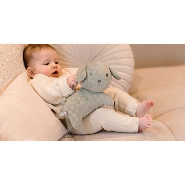 Λούτρινο Σκυλάκι Από Βελουτέ Ύφασμα 25cm Πράσινο Miffy Flowers | 47-3898