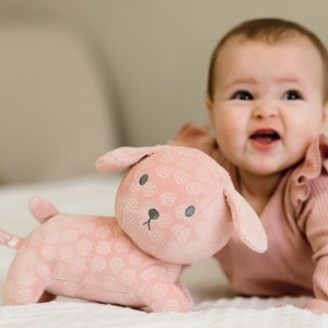 Λούτρινο Σκυλάκι Από Βελουτέ Ύφασμα 25cm Ροζ Miffy Flowers | 47-3897