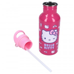 Παγούρι Νερού 500ml Hello Kitty Take A Sip | 50-00584