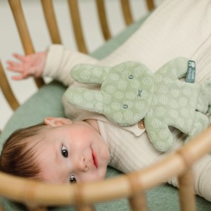 Πανάκι Παρηγοριάς Πράσινο Miffy Flowers | 47-3892