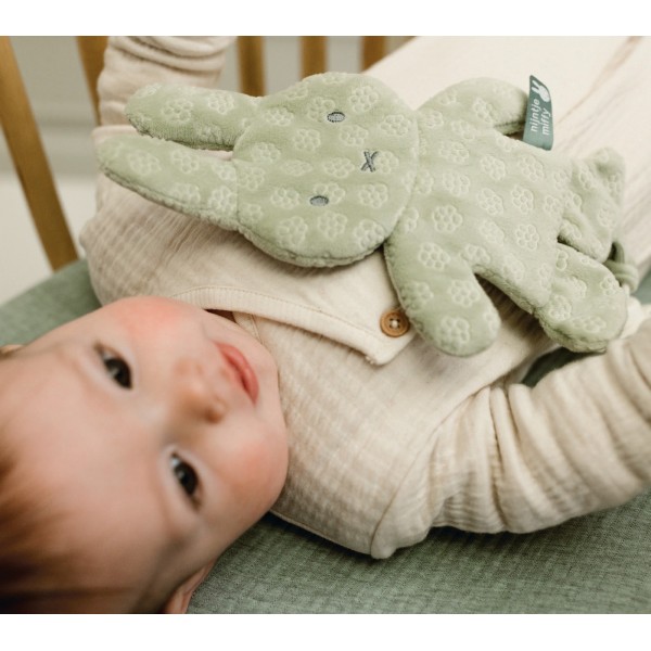 Πανάκι Παρηγοριάς Πράσινο Miffy Flowers | 47-3892