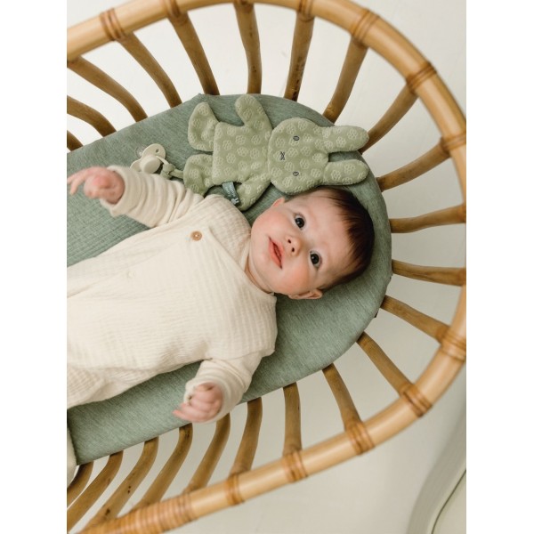 Πανάκι Παρηγοριάς Πράσινο Miffy Flowers | 47-3892