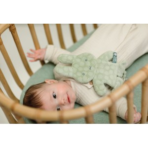 Πανάκι Παρηγοριάς Πράσινο Miffy Flowers | 47-3892