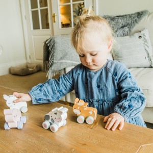 Προβατάκι Push & Pull Farmyard Orange Tree Toys | 60-07627