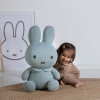Υφασμάτινο Λούτρινο Κουνέλι 60cm Mint Miffy | 47-3652