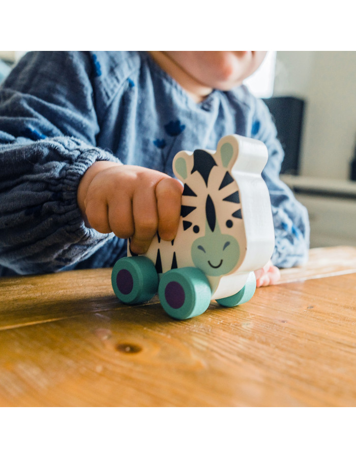 Ζέμπρα Push & Pull Jungle Animals Orange Tree Toys | 60-07924