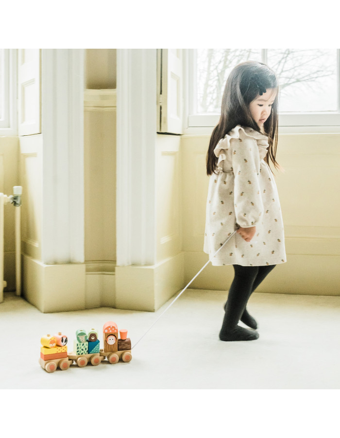 Ξύλινο Τρενάκι Woodland (FSC®) Orange Tree Toys | 60-08098