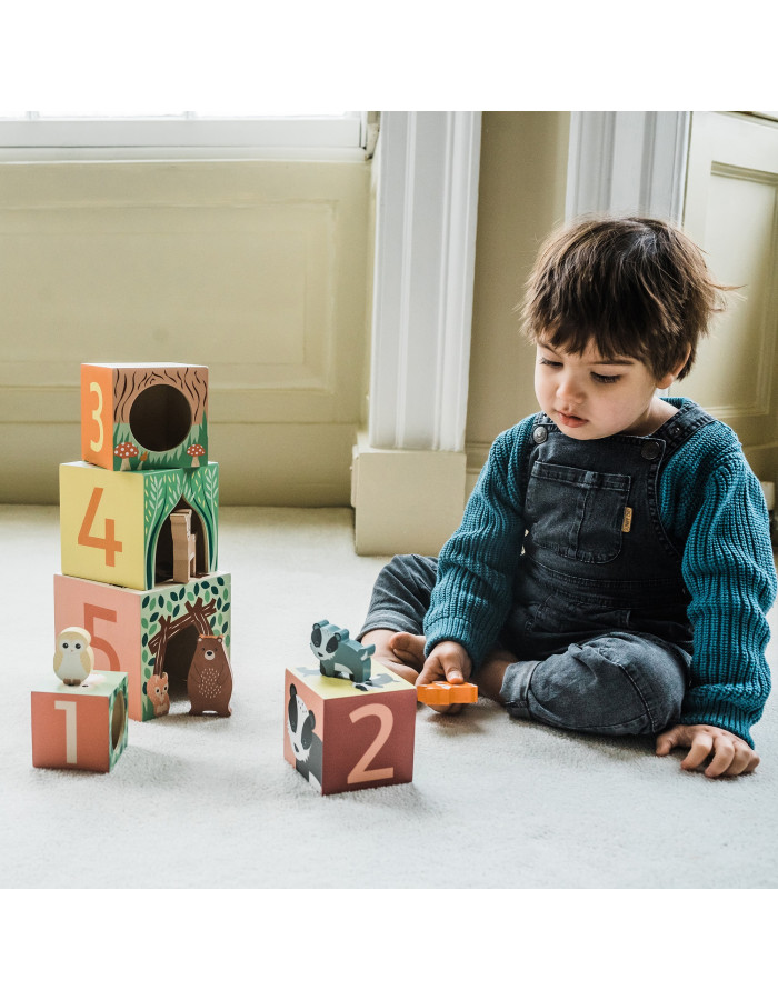 Κύβοι Στοίβαξης Woodland Orange Tree Toys | 60-12074