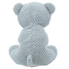 Λούτρινο Αρκουδάκι 22cm Organic Cotton Blend - CUTE | 65-5073