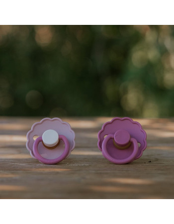 Σετ 2 Πιπίλες Σιλικόνης FRIGG Daisy - Peony/Cedar - 0-6 Μηνών | 67-101948 Σετ 2 Πιπίλες Σιλικόνης FRIGG Daisy - Peony/Cedar - 0-6 Μηνών | 67-101948