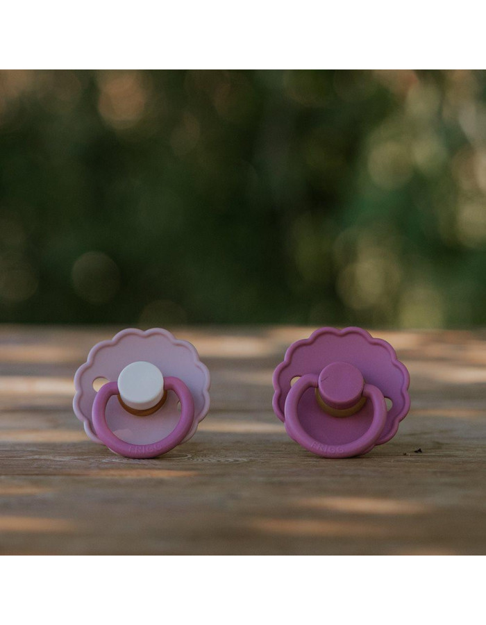 Σετ 2 Πιπίλες Σιλικόνης FRIGG Daisy Peony/Cedar 6-18 Μηνών | 67-101949 Σετ 2 Πιπίλες Σιλικόνης FRIGG Daisy Peony/Cedar 6-18 Μηνών | 67-101949