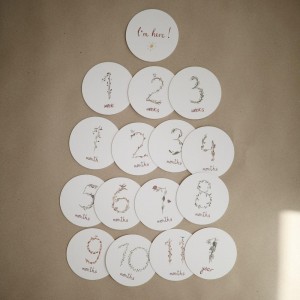 Κάρτες Αναμνήσεων Milestone Cards - Mushie | 66-2460000