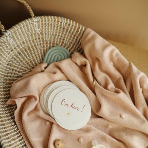 Κάρτες Αναμνήσεων Milestone Cards - Mushie | 66-2460000