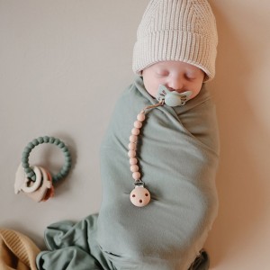 Κρίκος με Μασητικά Παιχνιδάκια Dino - Mushie | 66-101322