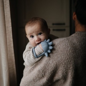 Μασητικό Σιλικόνης με Χερούλι Dino - Mushie | 66-101472